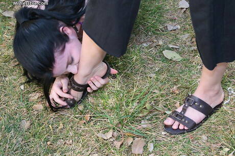 Mistress Eve are proud to present you with a free pics featuring Mistress Eve in female domination fantasies